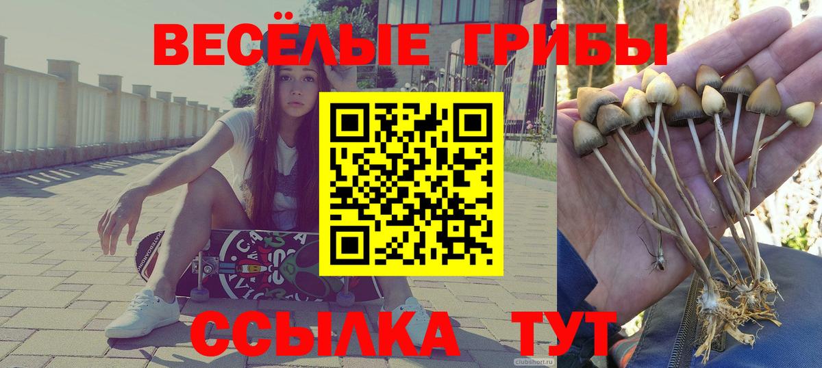 Псилоцибиновые грибы MAGIC MUSHROOMS  Вход с VPN  где можно купить наркотик  Светлоград 