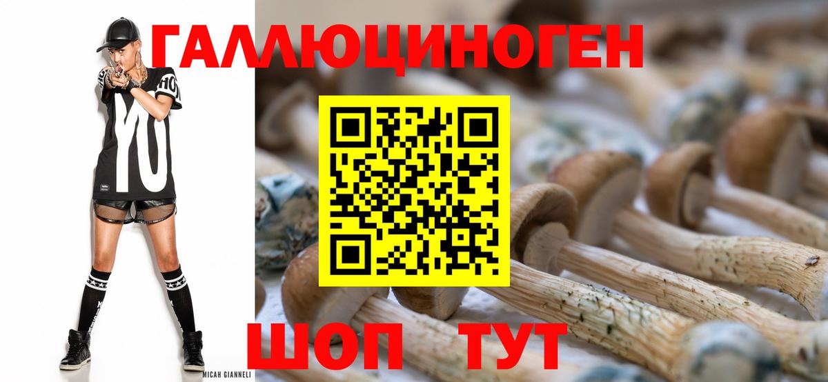 Галлюциногенные грибы MAGIC MUSHROOMS Светлоград